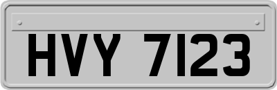 HVY7123