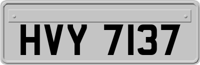 HVY7137
