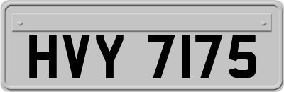 HVY7175