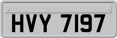 HVY7197