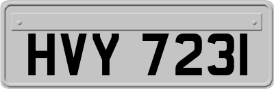 HVY7231