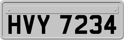 HVY7234