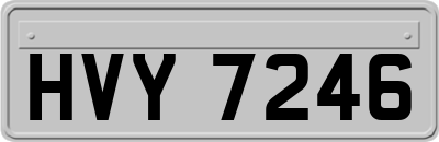 HVY7246