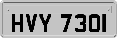 HVY7301