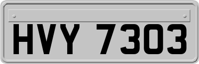 HVY7303