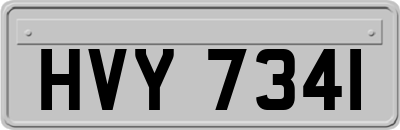 HVY7341