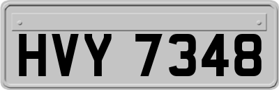HVY7348