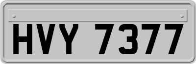 HVY7377