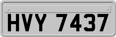 HVY7437