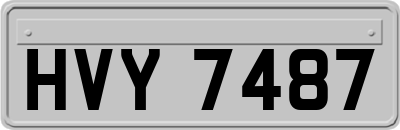 HVY7487