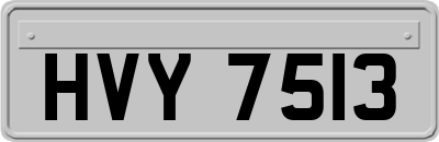 HVY7513
