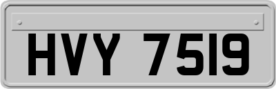 HVY7519