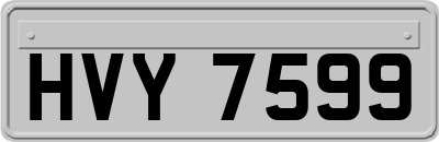HVY7599
