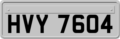 HVY7604