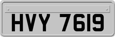 HVY7619