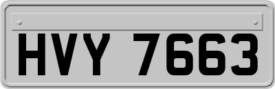 HVY7663