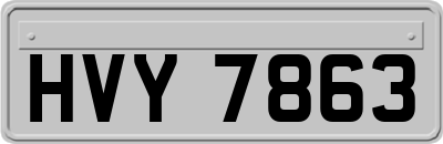 HVY7863