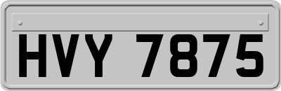 HVY7875