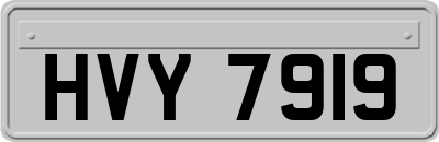 HVY7919