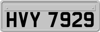 HVY7929