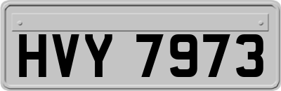 HVY7973