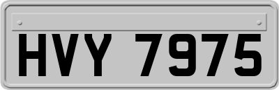 HVY7975