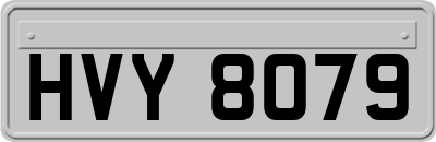 HVY8079