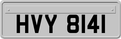 HVY8141