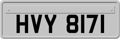 HVY8171