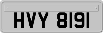 HVY8191