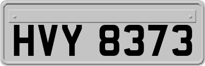 HVY8373