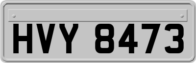 HVY8473