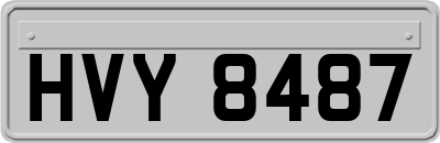 HVY8487
