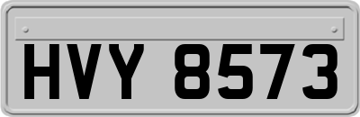 HVY8573
