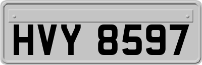 HVY8597