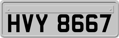 HVY8667