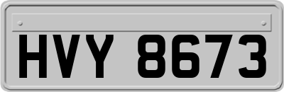 HVY8673