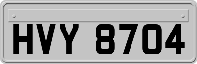 HVY8704