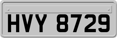HVY8729
