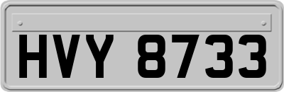 HVY8733