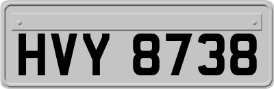 HVY8738