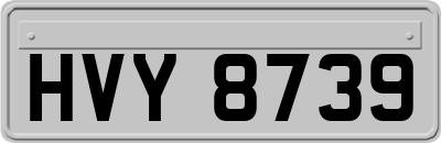HVY8739