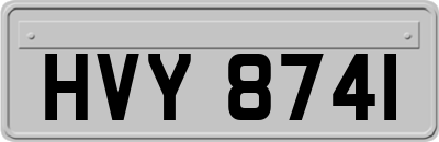 HVY8741