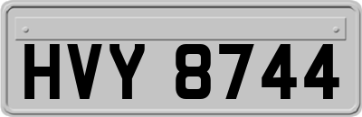 HVY8744