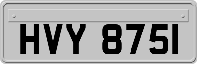 HVY8751
