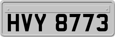 HVY8773