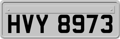HVY8973