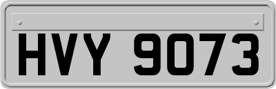 HVY9073