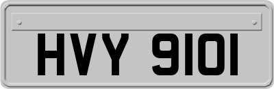 HVY9101