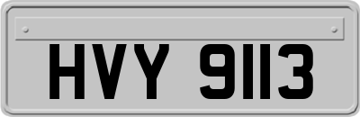 HVY9113